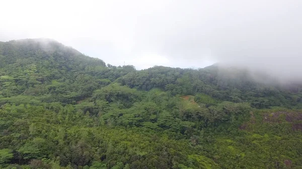 Vue aérienne des montagnes entourées de brouillard — Photo