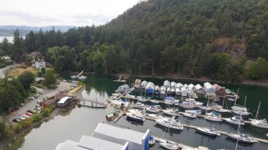 Vancouver Island Cenova Körfezi havadan görünümü