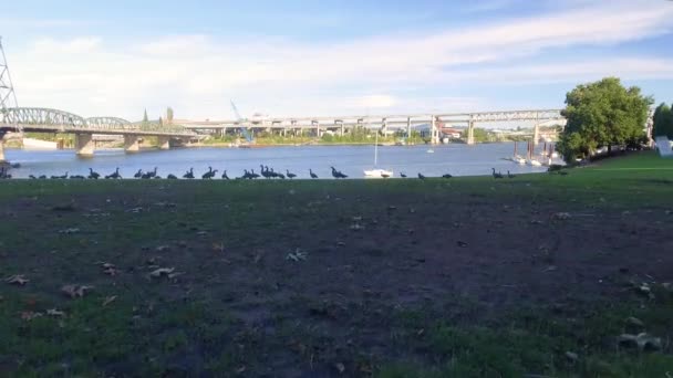Parc de Portland, Oregon 