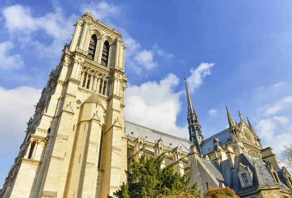 Gevel van de kathedraal van de Notre Dame in de herfst seizoen, Parijs - Frankrijk — Stockfoto