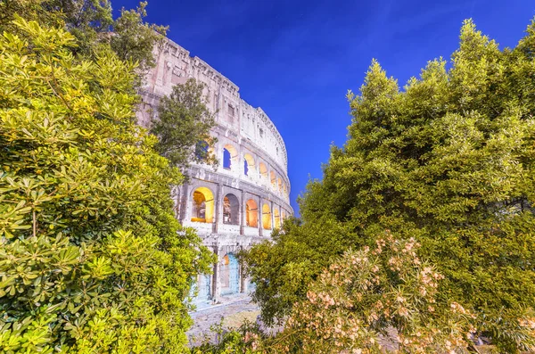 Lys af Colosseum indrammet af træer - Rom om natten, Italien - Stock-foto