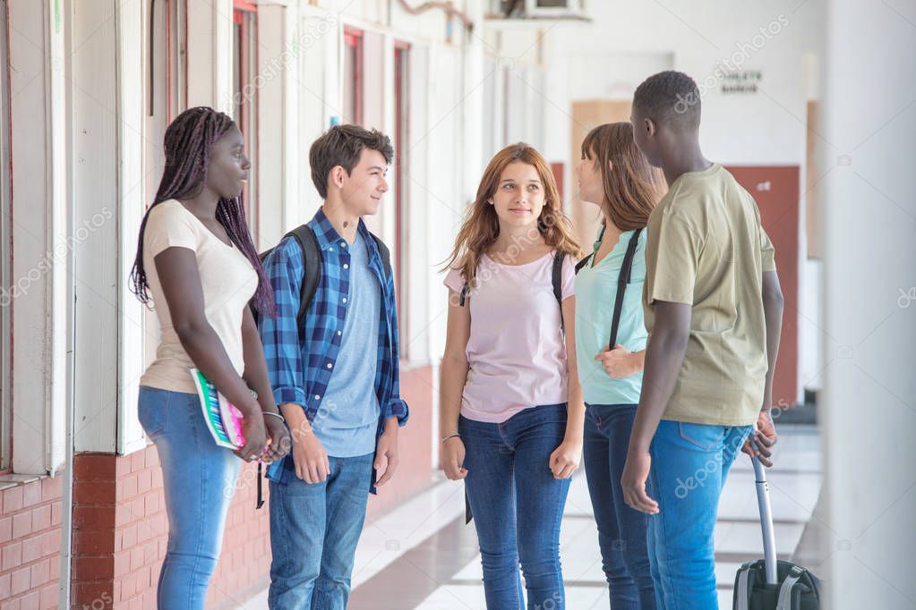 Multi ethnic teenagers classmates happy talking in schoolyard