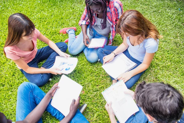 Multi etnická skupina teenagerů sedící v trávě pomocí notebo — Stock fotografie