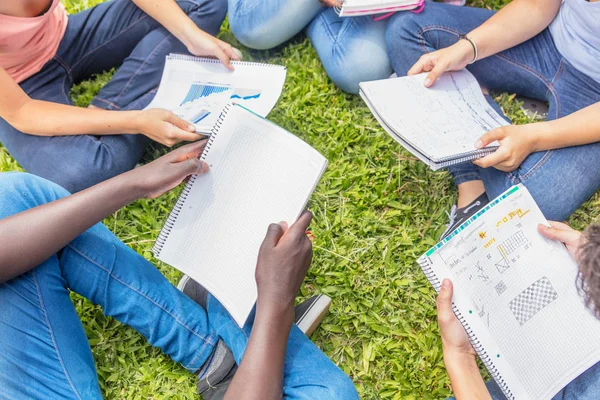 Groupe d'adolescents faisant des tâches scolaires assis sur l'herbe. Scho ! — Photo