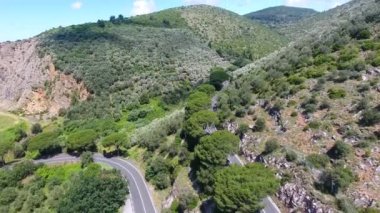 Güzel yol orman boyunca hava görünümünü. Video 