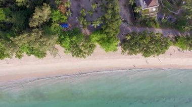 muhteşem tropik kumlu plaj ve okyanus kıyısında, video