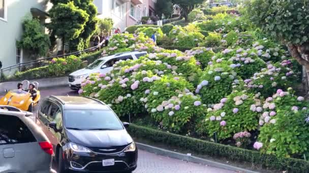 Coches Personas Que Mueven Largo Sinuosa Calle Estrecha San Francisco — Vídeo de stock