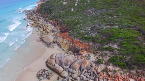 Úžasná Povaha Squeaky Pláž Wilsonovým Promontory Národního Parku Victoria Austrálie — Stock video