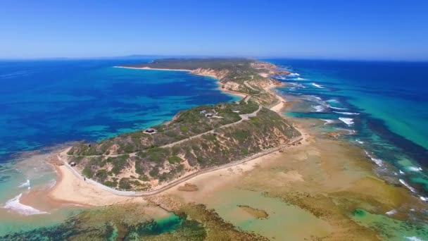 Erstaunliche Natur Der Küste Wilsons Promontory National Park Victoria Australien — Stockvideo
