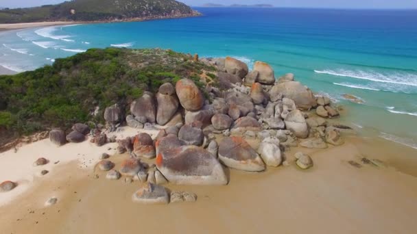 Csodálatos Természet Vinnyogó Beach Wilsons Hegyfok Nemzeti Park Victoria Ausztrália — Stock videók