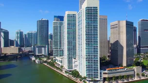 Hermosa Vista Los Rascacielos Del Centro Miami Florida Vídeo — Vídeo de stock