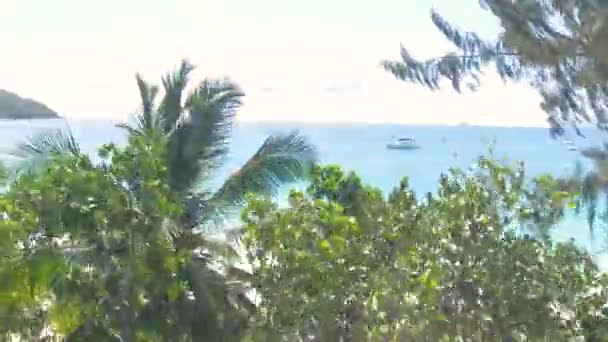 Incredibile Natura Tropicale Yacht Vela Mare Calmo Video — Video Stock