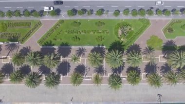 Şehir hava havai görünümü mesire yeşil palmiye ağaçları ile video
