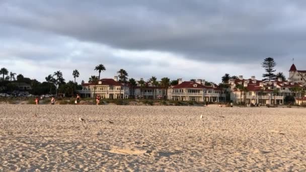 Homokos Coronado Beach San Diego Megyében Kalifornia Usa — Stock videók