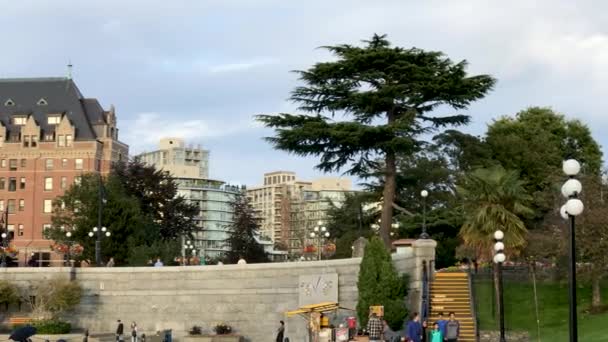 Victoria Canada August 2017 Tourists Relaxing City Streets — Stock Video