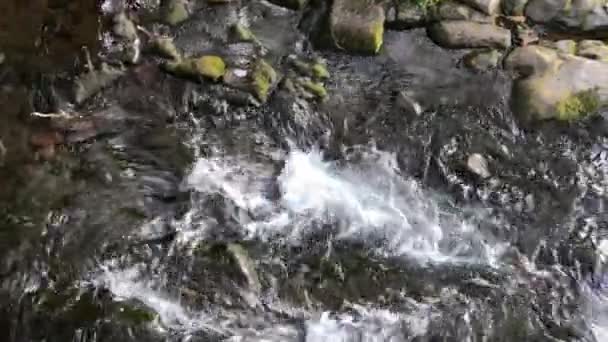 流清澈的冷水在山上 — 图库视频影像