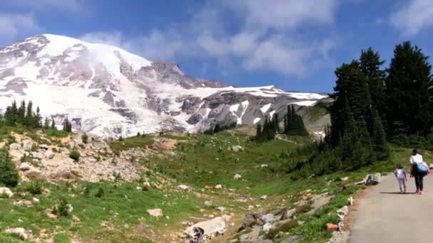 Amazing Panorama Snowy Mountains Evergreen Forest Sunny Day Video — Stock Video