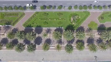 Şehir hava havai görünümü mesire yeşil palmiye ağaçları ile video