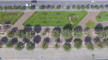 Şehir hava havai görünümü mesire yeşil palmiye ağaçları ile video