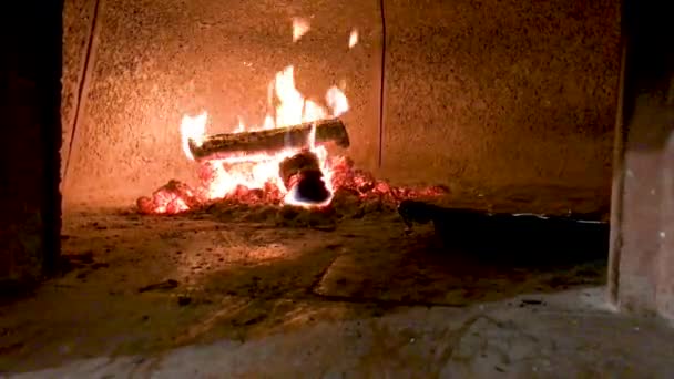 Burning Pieces Wood Fire — Stock Video