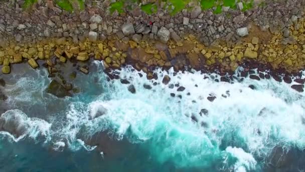 Mooie Luchtfoto Van Shelly Beach Kustlijn Australië Video — Stockvideo