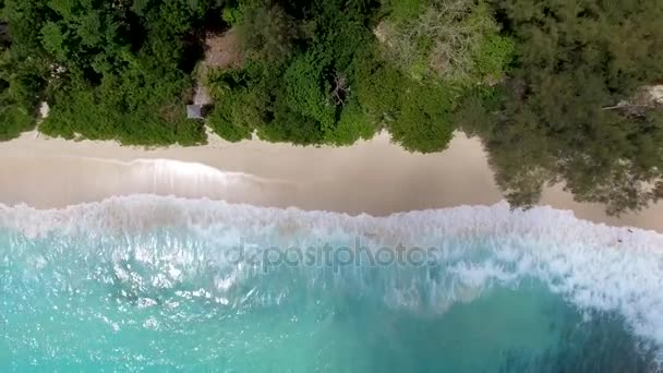 Incrível Praia Tropical Costa Oceânica Vídeo — Vídeo de Stock