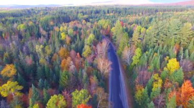 sonbaharda renkli ormanın panoramik havadan görünümü