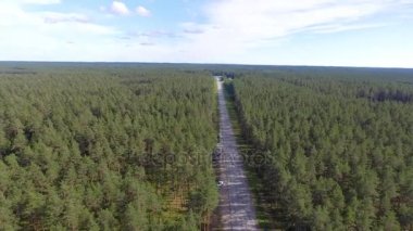 Güzel yol orman boyunca hava görünümünü. Video 