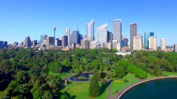 Αεροφωτογραφία Του Σίδνεϊ Στον Κόλπο Κτίρια Και Πάρκο Μια Ηλιόλουστη — Αρχείο Βίντεο