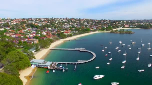 Översiktsbild Båtar Seglar Nära Sydney Balmoral Beach Australien Video — Stockvideo