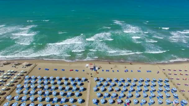 Vedere Aeriană Frumoasă Scaunelor Plajă Umbrele Lungul Oceanului Video — Videoclip de stoc