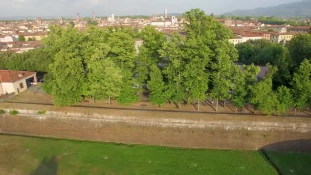 Vista Aérea Del Campo Lucca Toscana Italia Vídeo — Vídeos de Stock