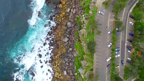 Belle Vue Aérienne Littoral Shelly Beach Australie Vidéo — Video