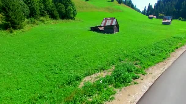 Yükü Hava Panoramik Manzaralı Alpin Çayırlar Yaz Sezonu Video — Stok video