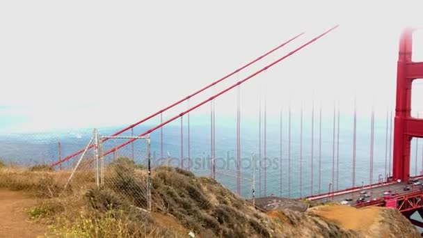 Pięknego Ptaka San Francisco Golden Gate Bridge Miasto Wybrzeża Wideo — Wideo stockowe