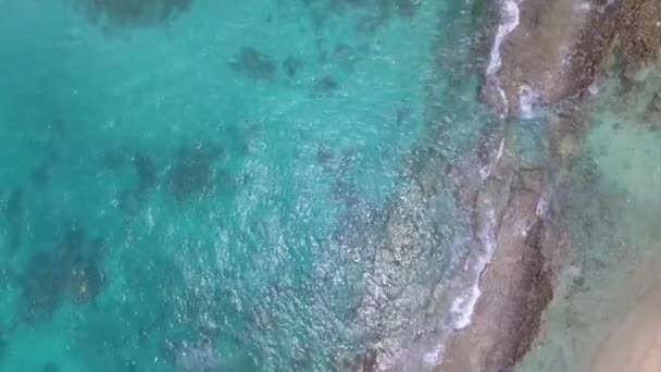 Côte Incroyable Île Praslin Seychelles Vidéo — Video