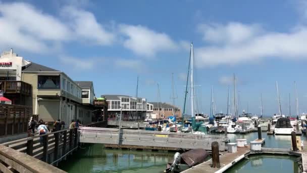 Pier Beautiful White Yachts Sunny Day Video — Stock Video