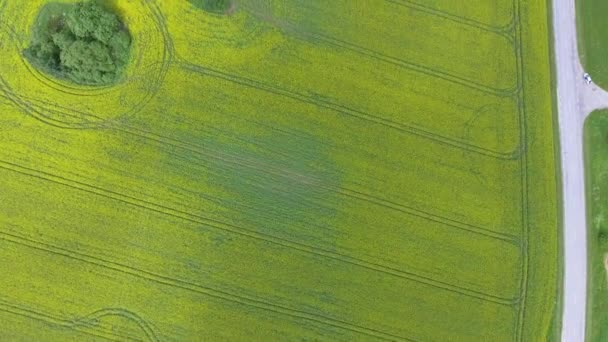 夏季草地的高空空中全景图 — 图库视频影像