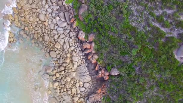 きしむビーチ ウィルソンズ プロモントリー国立公園 ビクトリア オーストラリアの素晴らしい自然 — ストック動画