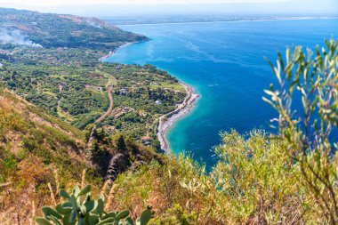 Havadan görünümü ağaçlar ve okyanus güzel kıyı şeridi. Seyahat kavramı.