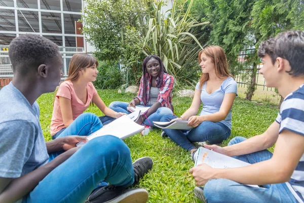 Multi Gruppo Etnico Adolescenti Seduti Sull Erba Con Quaderni Istruzione — Foto Stock