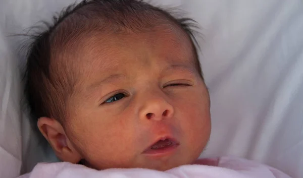 Bebé Recién Nacido Relajándose Dentro Cama —  Fotos de Stock