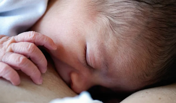 Новорожденная Малышка Сосёт Молоко Груди Матери — стоковое фото