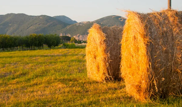 Bales Hay Tuscan Meadow Italy — Stock Photo, Image