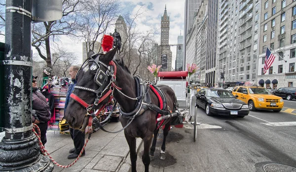 New York City Martie Carriage Își Așteaptă Clienții Central Park — Fotografie, imagine de stoc