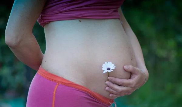 Veckan Gravid Kvinna Mage Med Blomma — Stockfoto