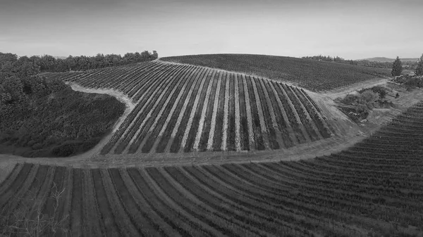 Letecký Pohled Krásné Jaro Toskánsku — Stock fotografie