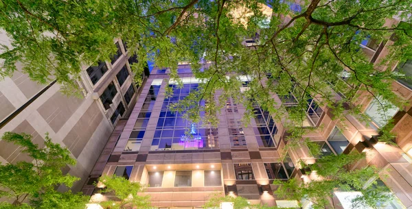 夜の木が市の超高層ビルの夜反射 — ストック写真
