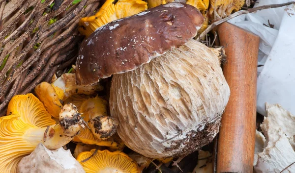 Basket of Mushrooms with Boletus and a Knife — Stock Image Basket Mushrooms Boletus Knife Stock Picture