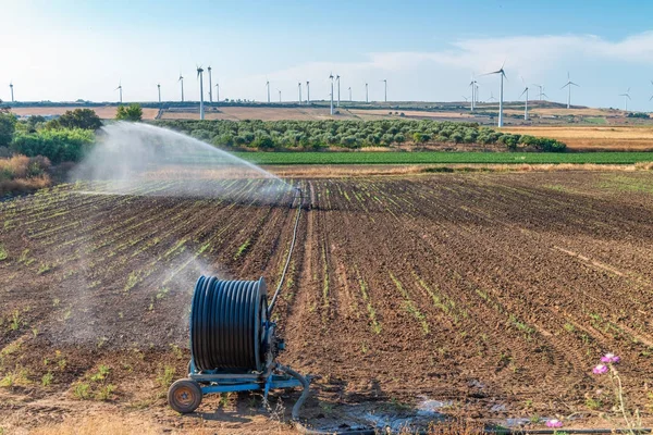 Irrigation system in summer on open countryside — Stock Photo, Image